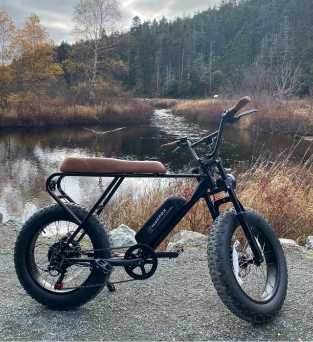 The Rise Of Modified E Bikes And The Macfox X Experience Tapscape