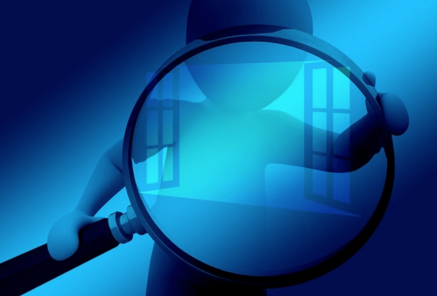 How Reverse WHOIS Domain Lookups Can Help in Fraud Detection