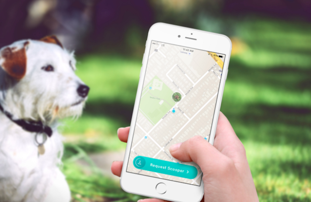 4 must-have apps for any dog owner