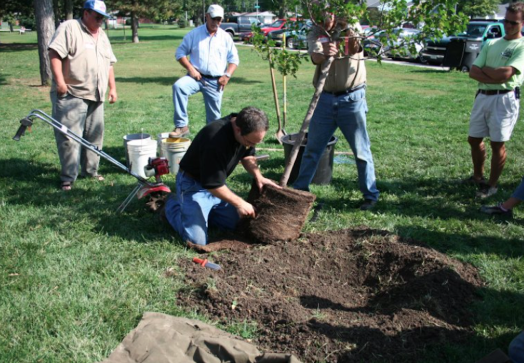 TN Nursery Reviews: What Are the Most Common Mistakes People Make When Growing Trees?