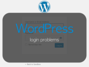 Can't Log Into WordPress