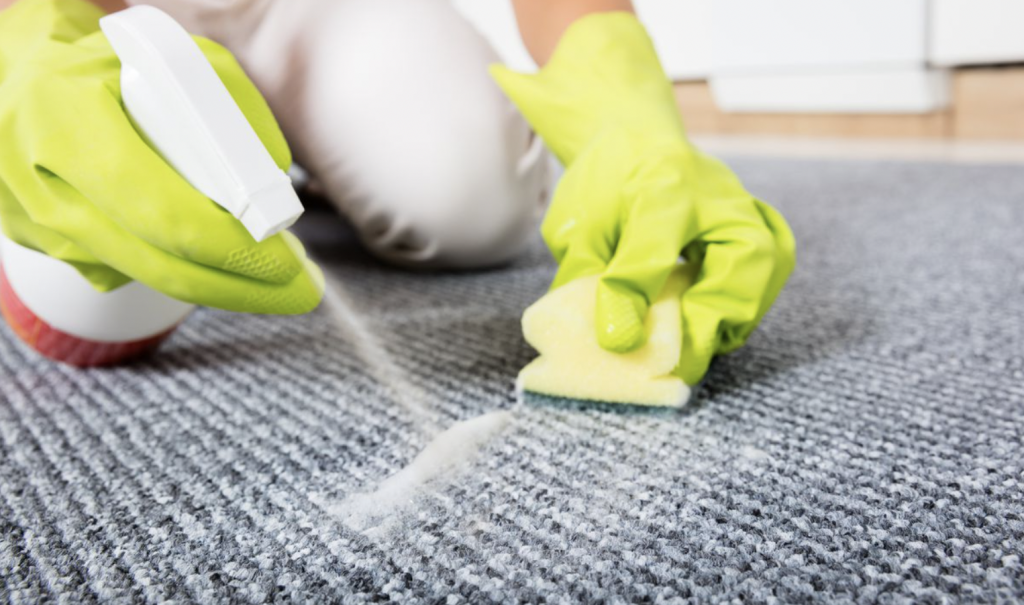 7 Ideas for Removing Stubborn Carpet Stains