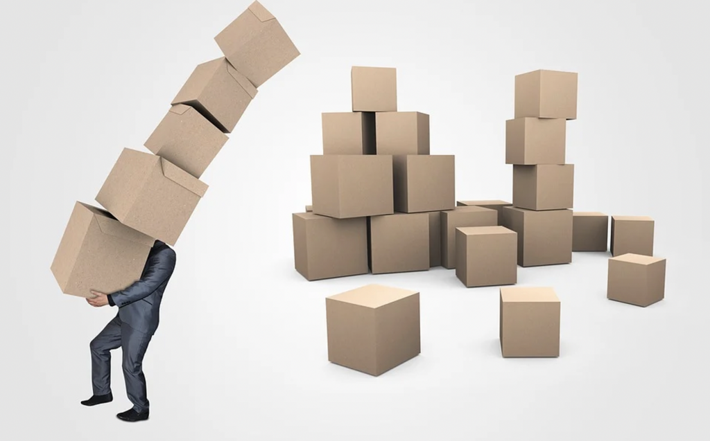 What is the purpose of delivery management software?