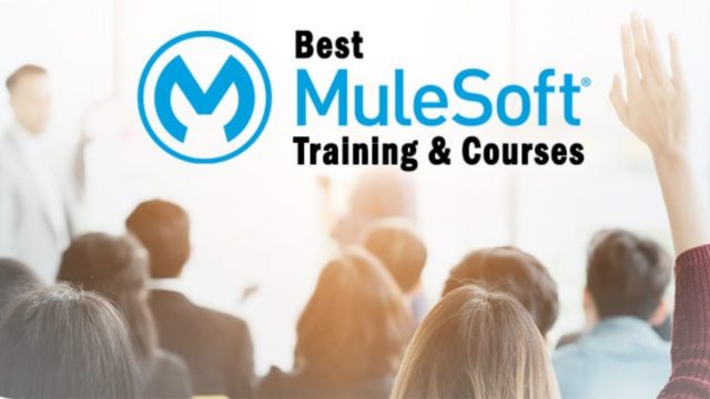 How to Start Learning MuleSoft From the Scratch