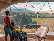 How to Plan Your Glamping Vacation Online