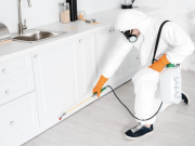 Do You Really Need Monthly Pest Control?