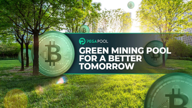 The Economics of Bitcoin Mining An Exploration of Profitability and PEGA Pool's Business Model