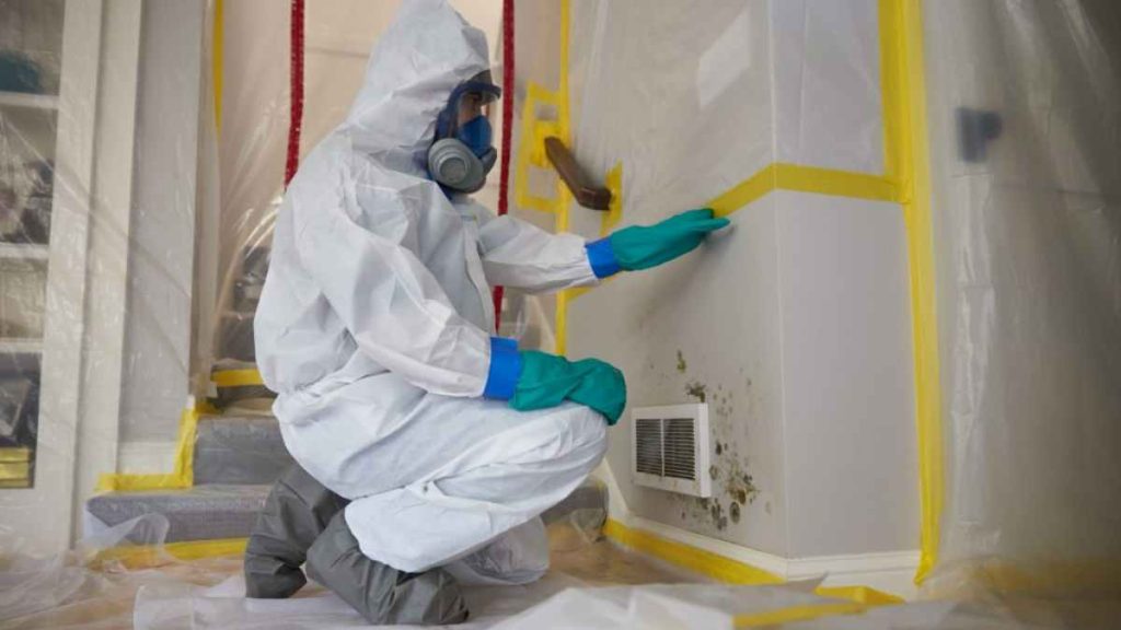 Benefits of Hiring a Mold Inspector