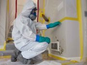 Benefits of Hiring a Mold Inspector