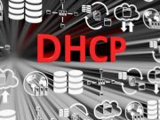 Concepts of DHCP ports