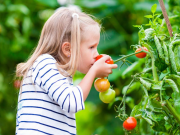 Gardening in the Cold Tips for Growing Winter Fruits and Vegetables