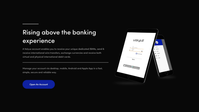 Valyuz Review – Dedicated Business IBAN Services for Everyone