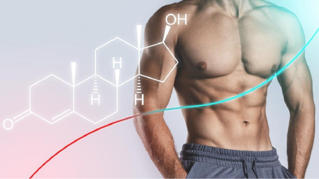 The Ultimate Guide to Testosterone for Men and Women