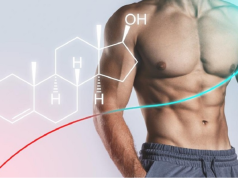 The Ultimate Guide to Testosterone for Men and Women