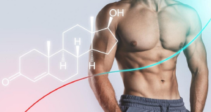 The Ultimate Guide to Testosterone for Men and Women