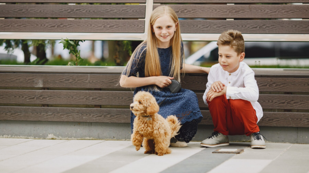 Dog Breeds That Are Perfect for Children