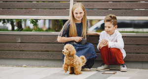 Dog Breeds That Are Perfect for Children