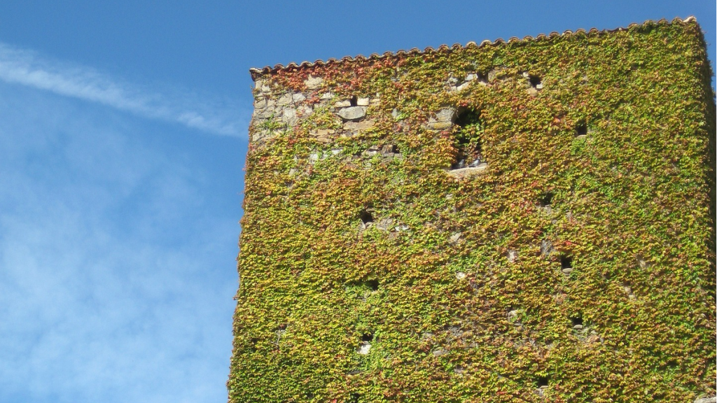 Maximizing Small Spaces Vertical Gardening Solutions for HDBs in Singapore